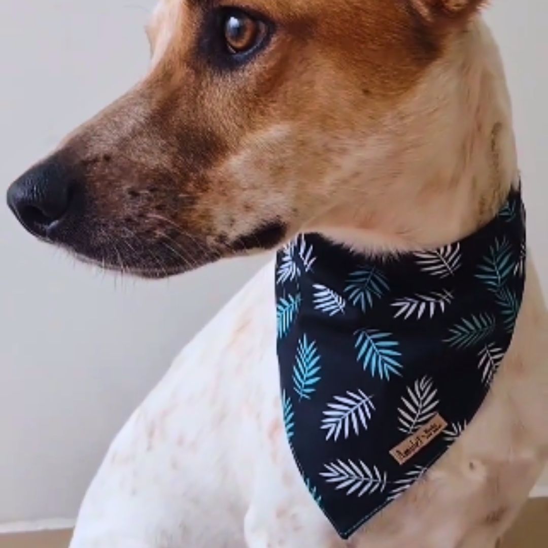 Bandana Tucán