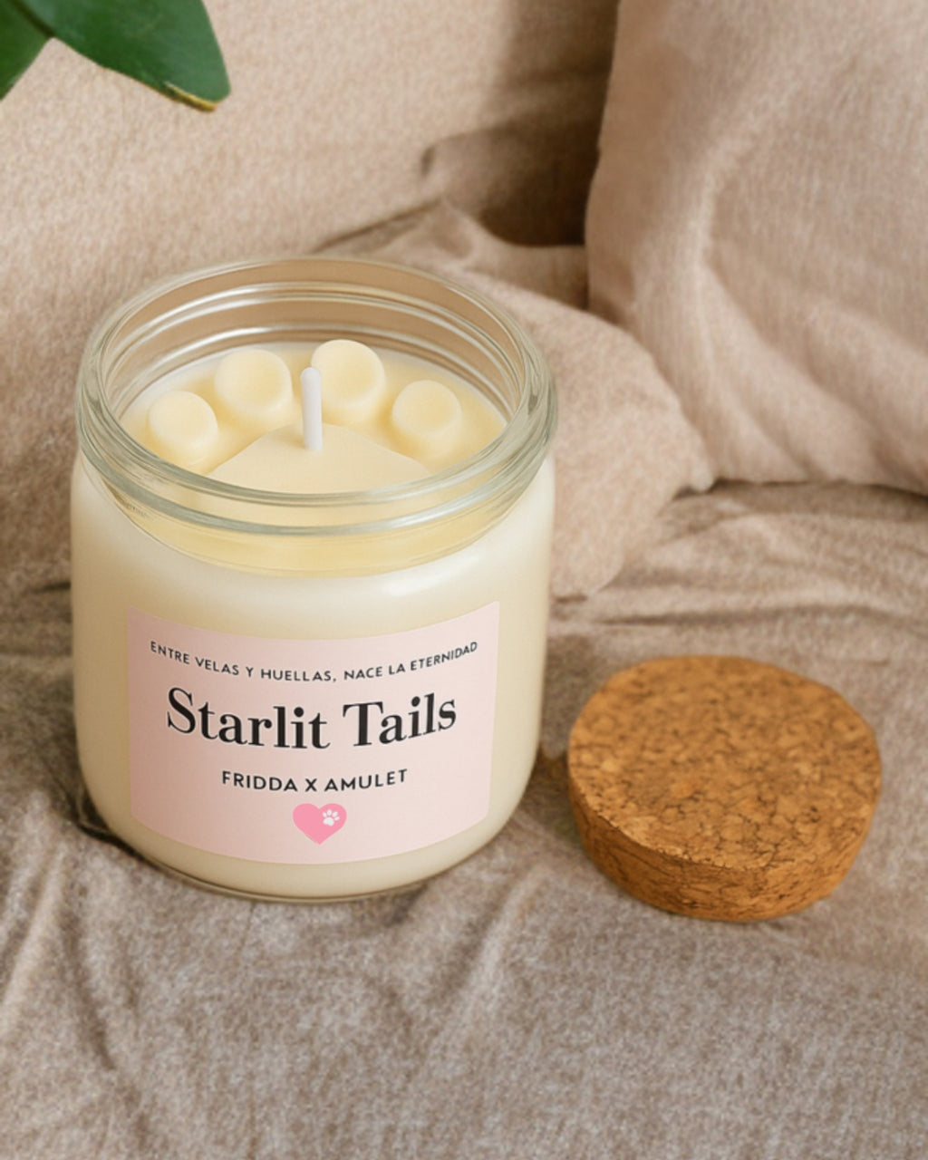 Vela Starlit Tails Fridda x Amulet