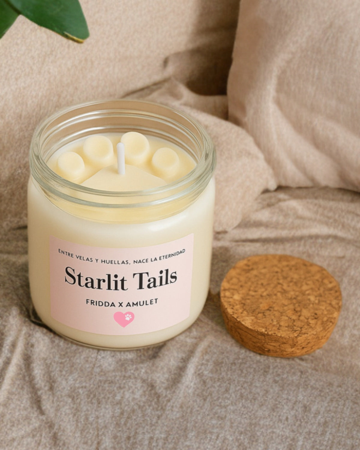 Vela Starlit Tails Fridda x Amulet