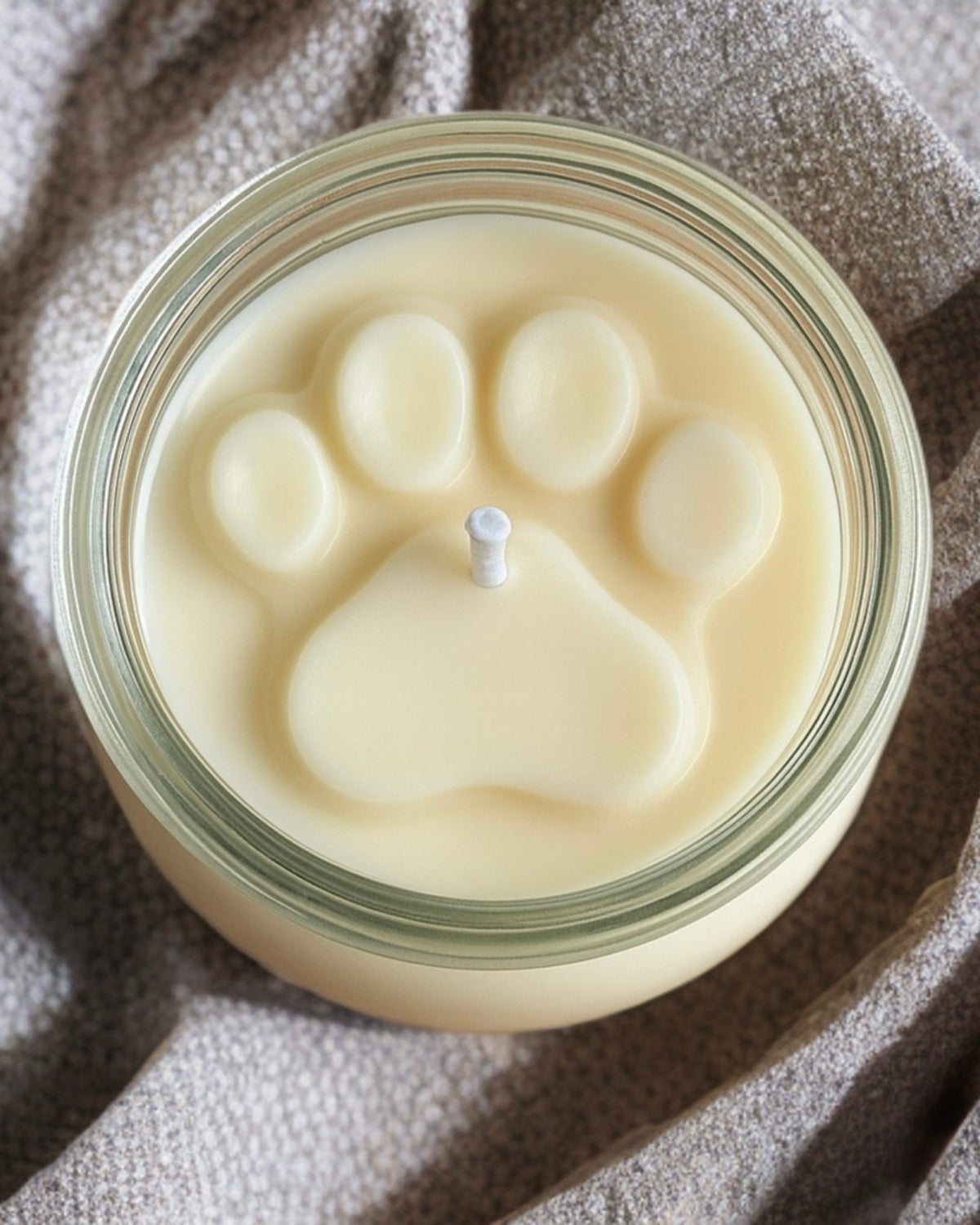 Vela Starlit Tails Fridda x Amulet