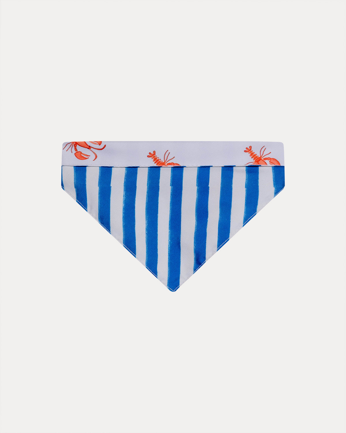 Bandana Summer Vibes