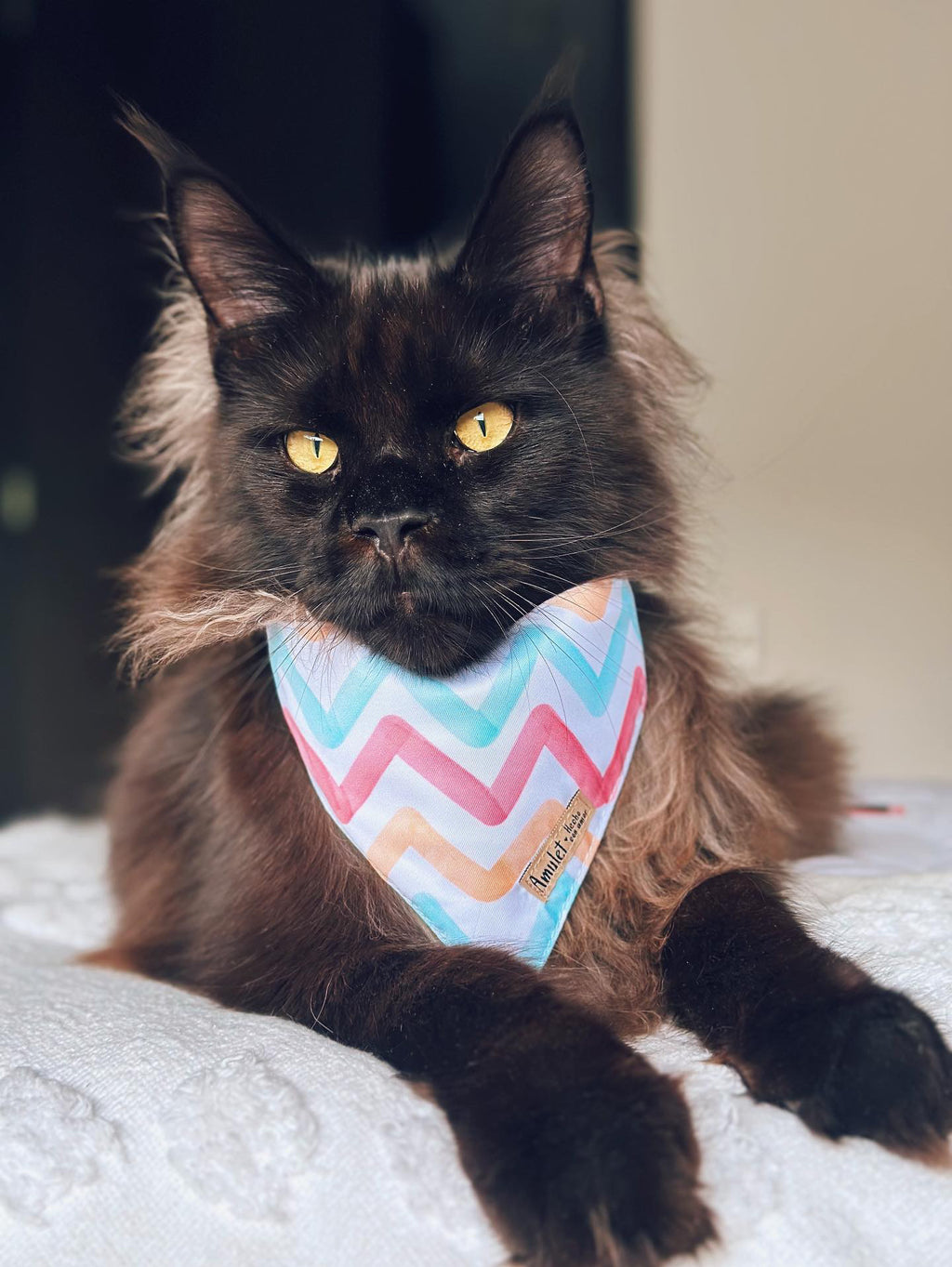 Bandana Arcoiris