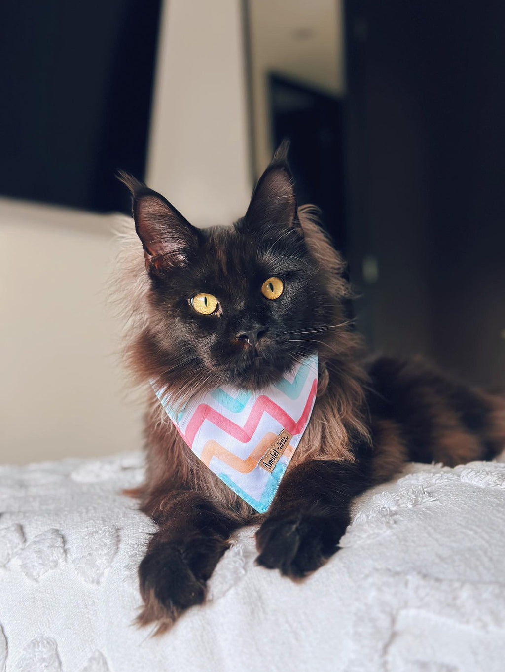 Bandana Arcoiris